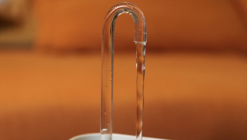 CalmaFlow™ Filtered Pet Water Dispenser