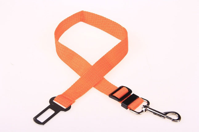 CalmaStride™ Polyester Dog Leash