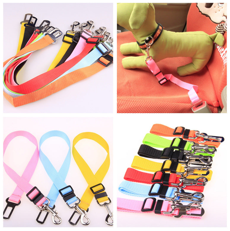 CalmaStride™ Polyester Dog Leash