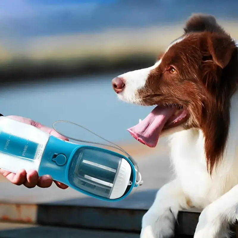 CalmaGo™ 3-in-1 Travel Pet Cup
