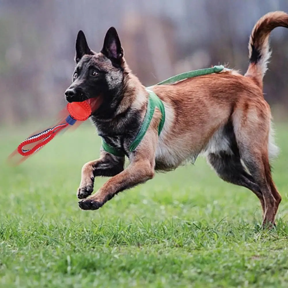 CalmaPlay™ Interactive Rope Ball Toy