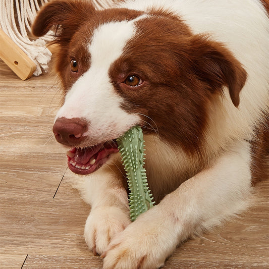 CalmaChew™ Dental & Play Chew Toy