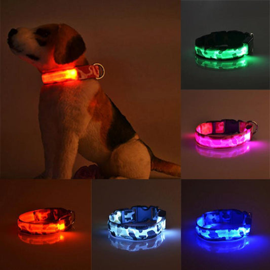 CalmaGlow™ Luminous Dog Collar