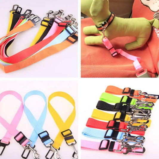 CalmaStride™ Polyester Dog Leash
